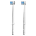 Waterpik Water Flosser Toothbrush Tip (2pk)